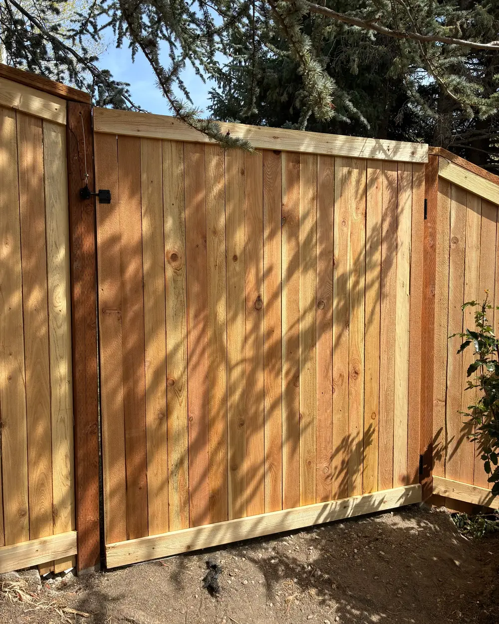 Cedar gate and fence with dappled afternoon shadows